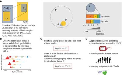 Detecting T-cell clonal expansions and quantifying clone survival using deep profiling of immune repertoires